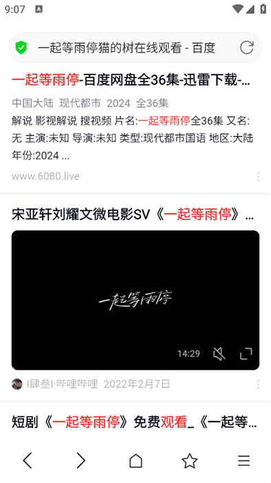 掌上瀏覽器