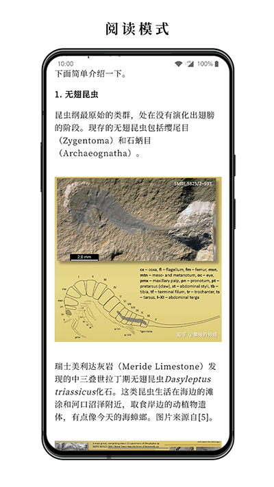 慢讀小說(shuō)截圖1