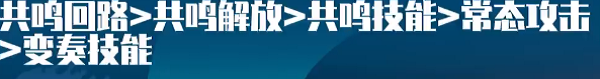 鳴潮暗主培養(yǎng)攻略