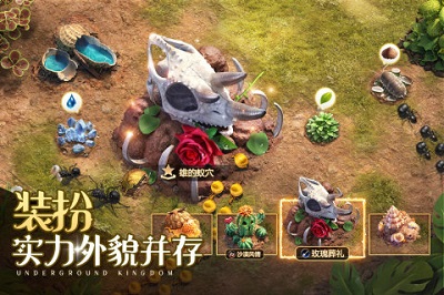 小小蟻國