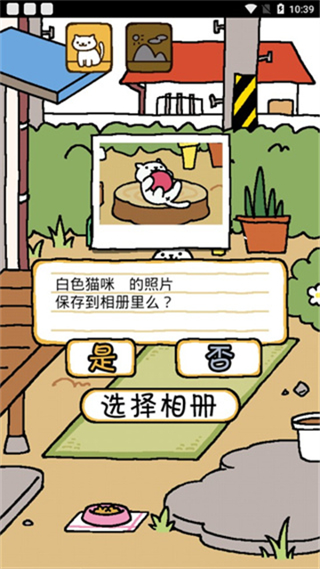 貓咪后院截圖1