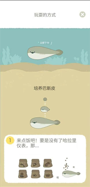 薩卡班甲魚