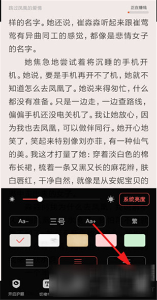 飯團(tuán)追書