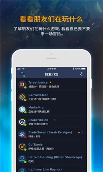暴雪國服戰(zhàn)網(wǎng)截圖2