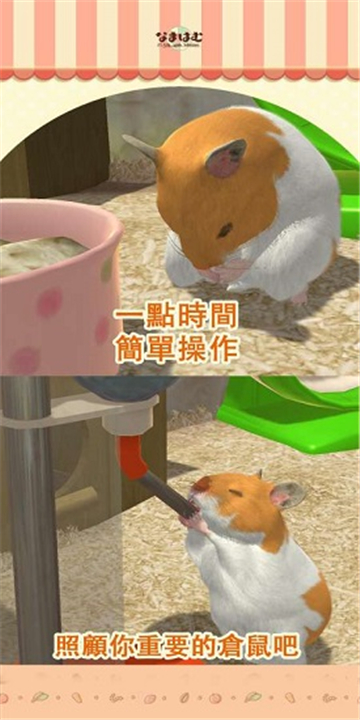 我的倉鼠截圖2