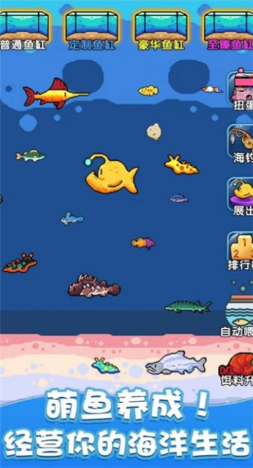快來養(yǎng)魚截圖3