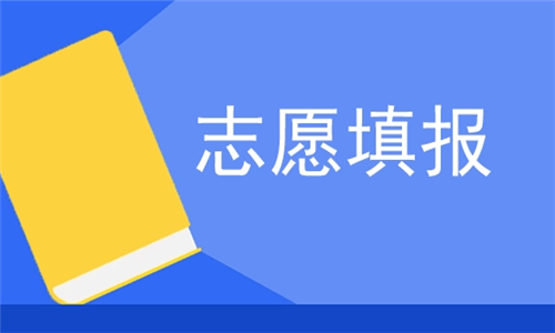 志愿填報(bào)