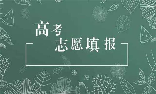 高考志愿