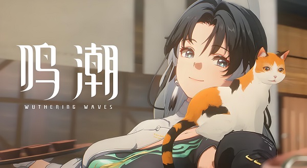 鳴潮胡蘆等級怎么快速提升