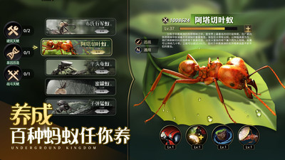 小小蟻國(guó)手游截圖1