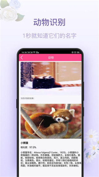 拍照識花神器截圖2