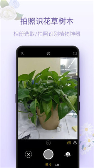 拍照識花神器截圖3