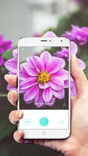 拍照識花神器