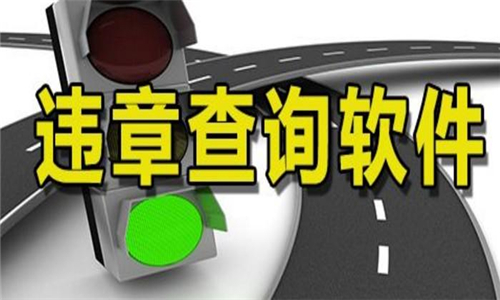 違章查詢