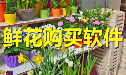 鮮花購買