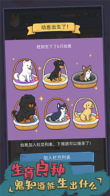 狗生模擬器截圖4