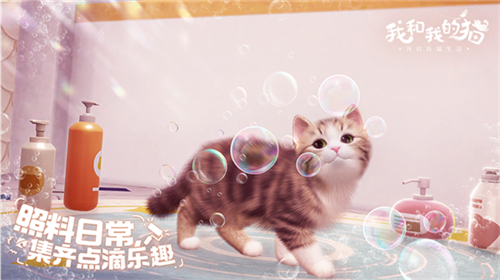 我和我的猫截图1: