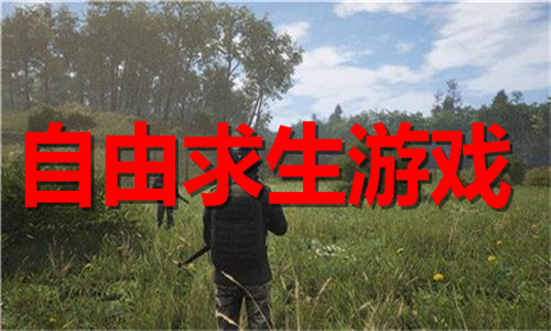 自由求生
