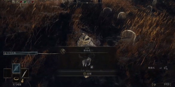 艾爾登法環(huán)黃金樹幽影野獸爪怎么獲得