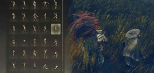 艾爾登法環(huán)黃金樹幽影丹恩支線任務(wù)攻略