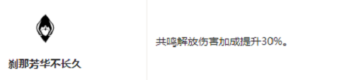 鳴潮丹瑾共鳴鏈