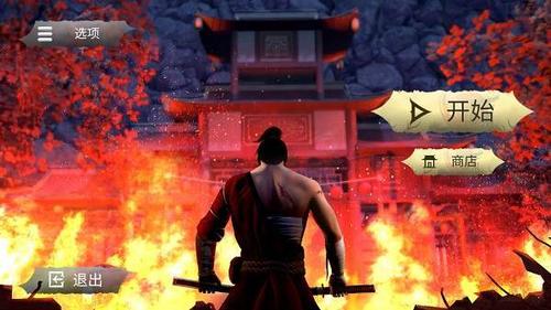 忍者武士隆