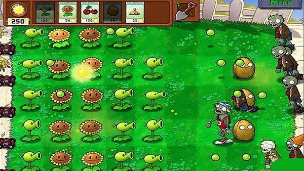 植物大戰(zhàn)僵尸原版2010下載截圖1