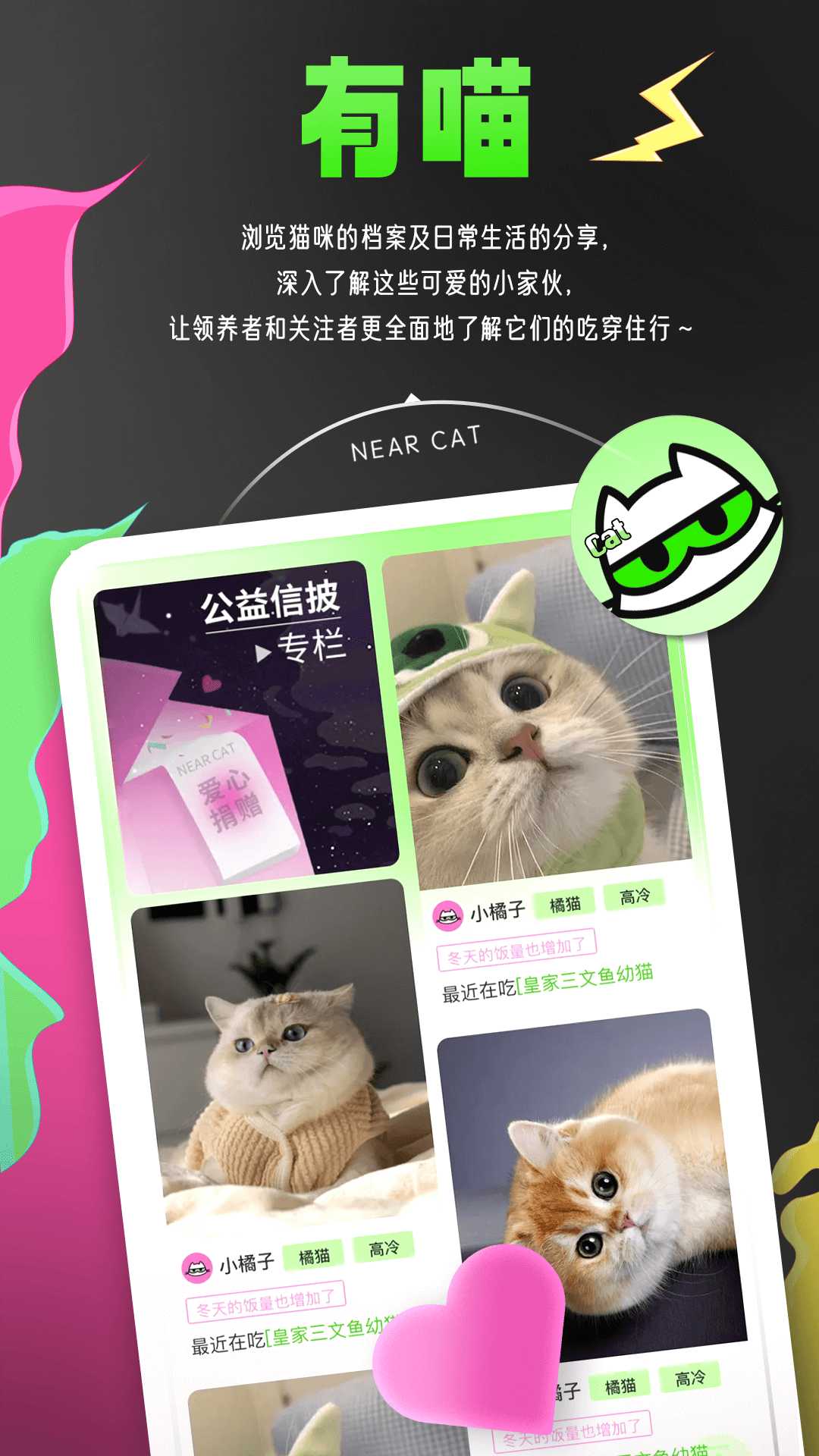 附近有喵截圖3