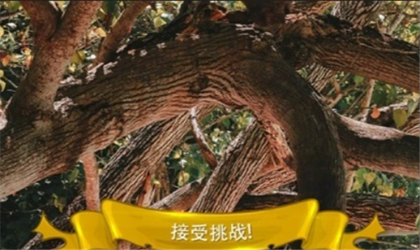 尋找貓隱藏對(duì)象3截圖1