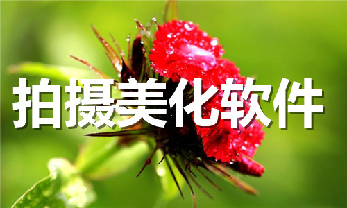 拍攝美化