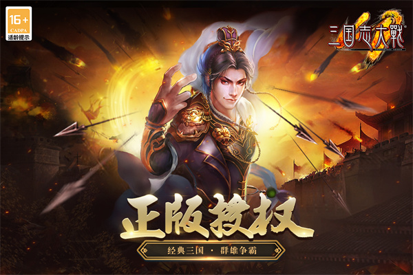 三國志大戰(zhàn)截圖2
