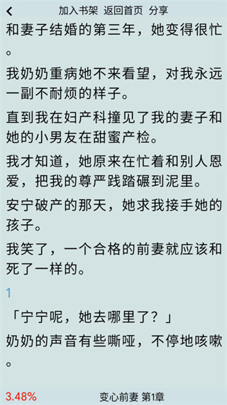 一粒小說
