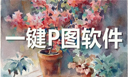 一鍵P圖