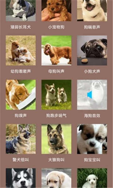 人狗交流器截圖1