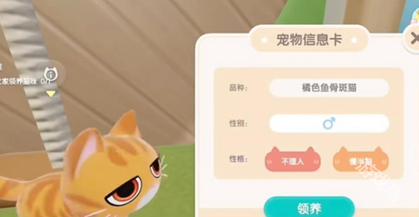 心動小鎮(zhèn)怎么養(yǎng)貓