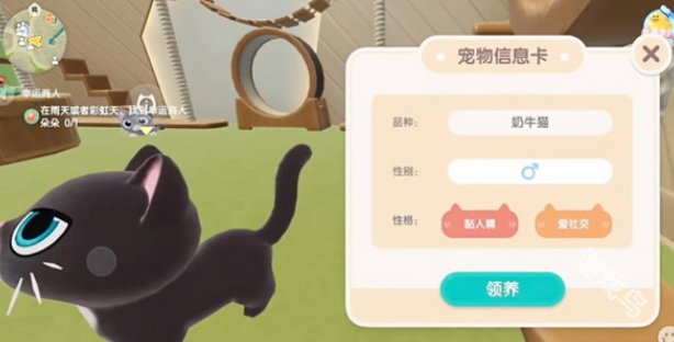 心動小鎮(zhèn)怎么養(yǎng)貓