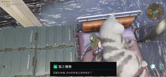 七日世界異維大貓在哪
