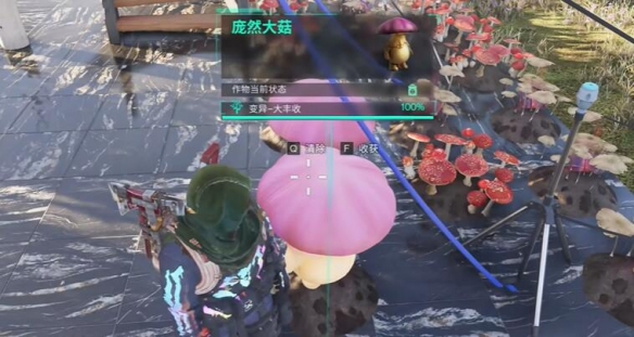 七日世界龐然大菇怎么獲得