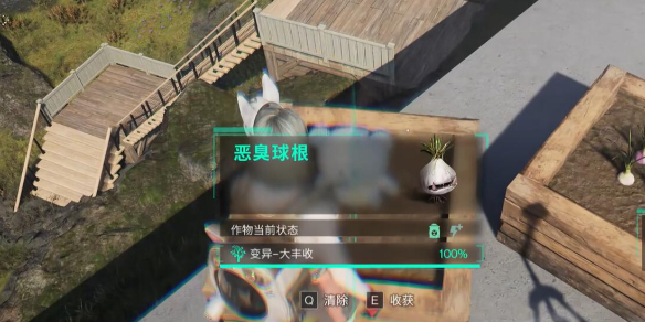 七日世界惡臭球根怎么收容