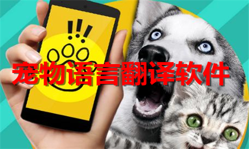 寵物語(yǔ)言翻譯