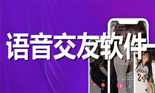 語(yǔ)音交友