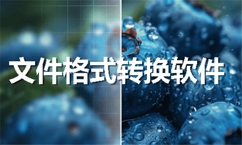 文件格式轉(zhuǎn)換