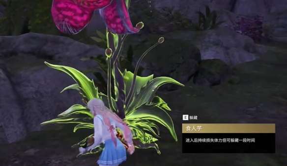 永劫無(wú)間龍隱洞天食人芋在哪