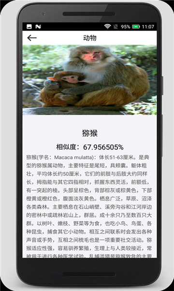 拍照識物截圖3