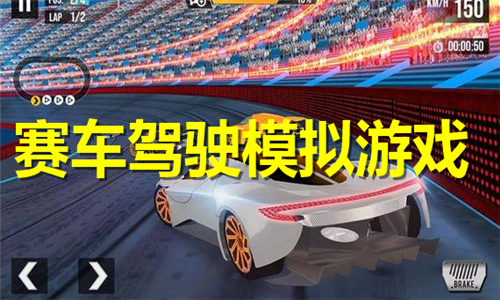 賽車(chē)駕駛模擬