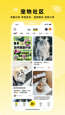 寵胖胖截圖2
