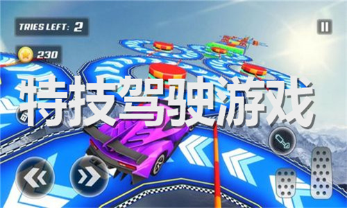 特技駕駛