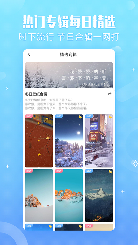 小鳥(niǎo)壁紙截圖4
