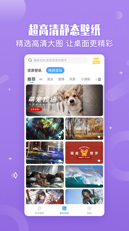 小鳥(niǎo)壁紙截圖3