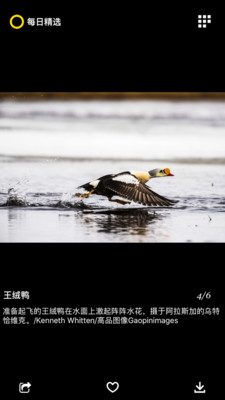 每日精選截圖4